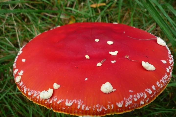 copie de L1080207.JPG