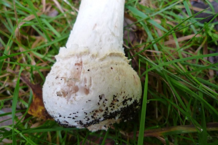 copie de L1080205.JPG