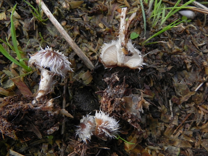 DSCN9077b.JPG
