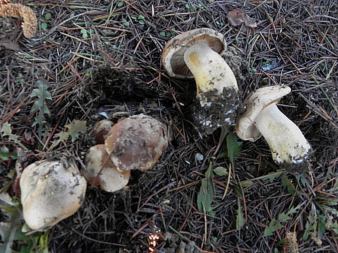 DSCN9261b.JPG