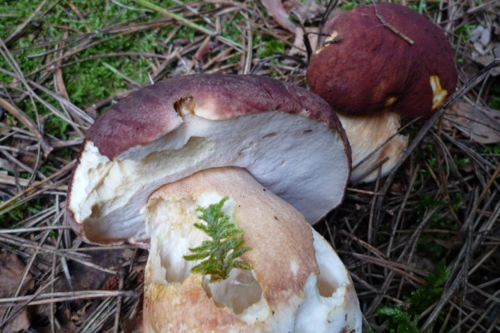 copie de L1080558.JPG