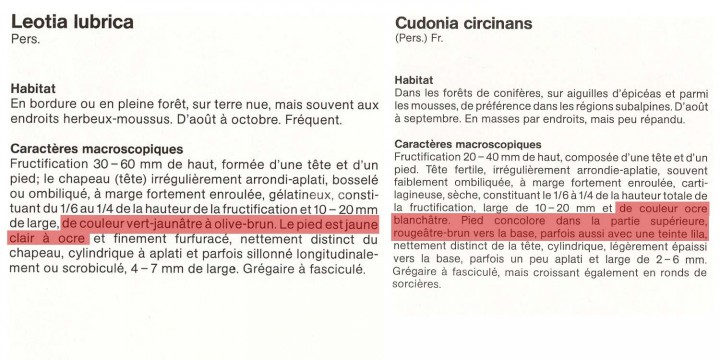 extrait_BK.jpg