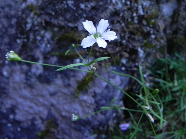 DSCN0832ch.JPG
