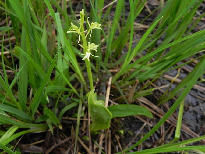DSCN8221b.JPG