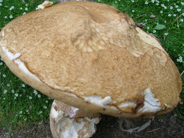 Photo 003_640x480.jpg