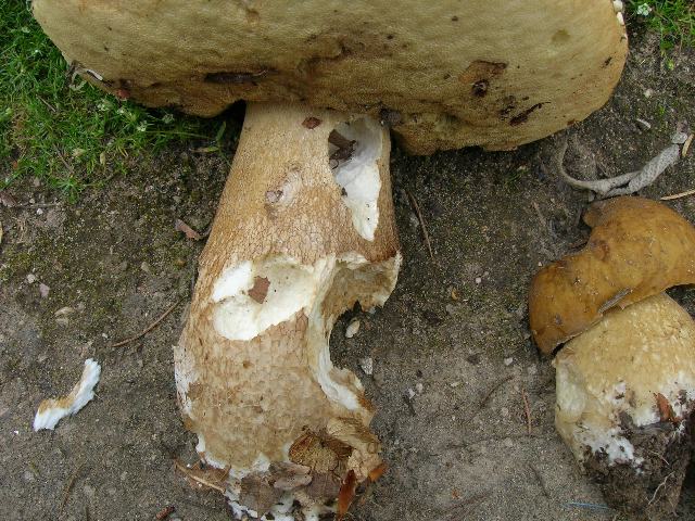 Photo 009_640x480.jpg