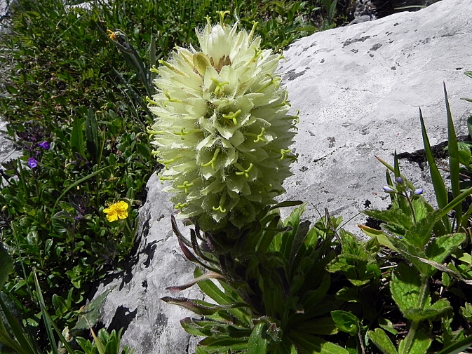 DSCN9208b.JPG