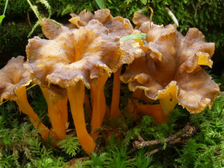 CP040077.JPG