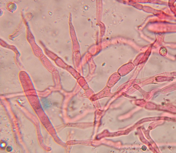 DSCF4593.JPG