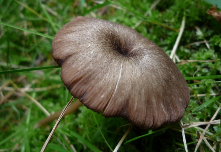 copie de L1130232.JPG