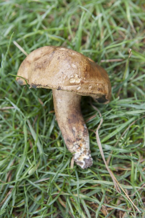 009.jpg
