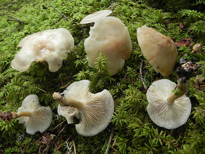 DSCN0142b.JPG