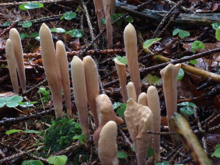 P8310358c.jpg