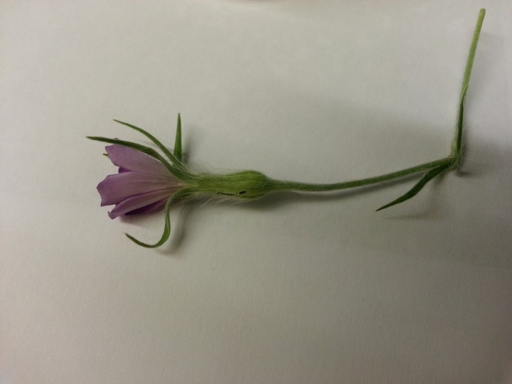 2013-07-08 16.25.15.jpg