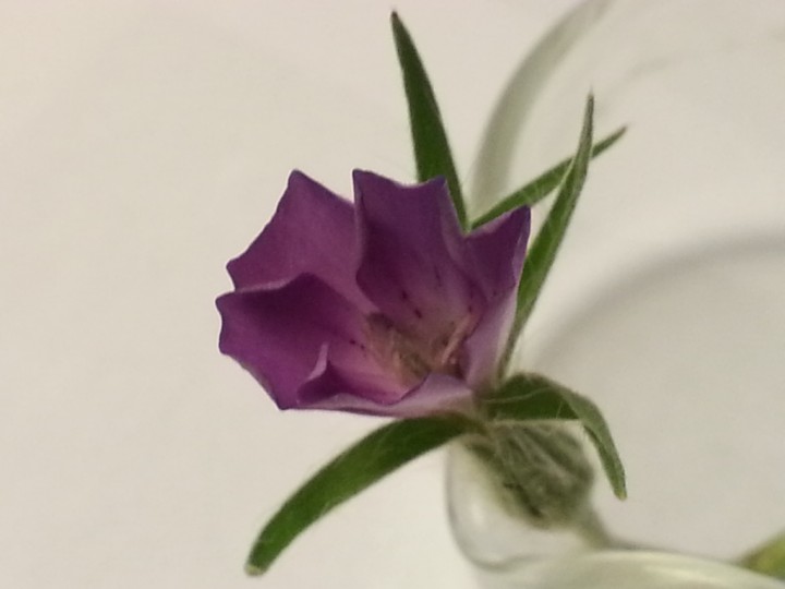 2013-07-08 16.24.22.jpg