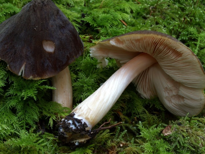 CP010050.JPG