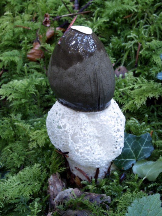 CP010041.JPG