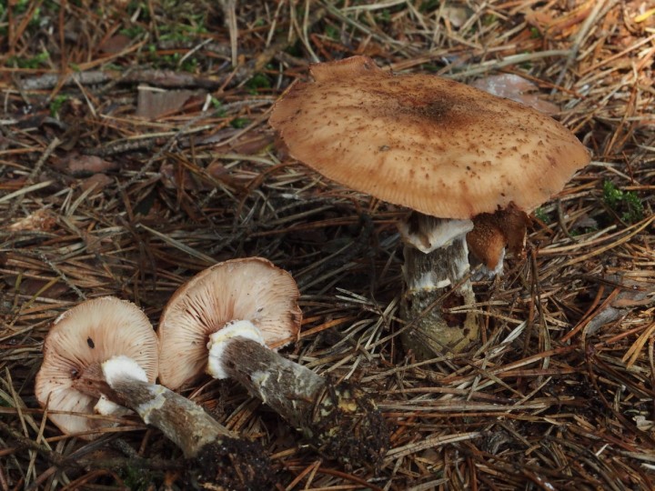 PA030018.jpg