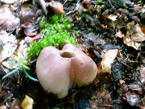 SP_A0502.jpg