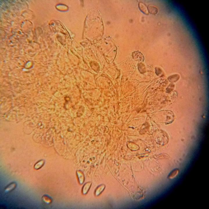 Divers telephone 017b.JPG