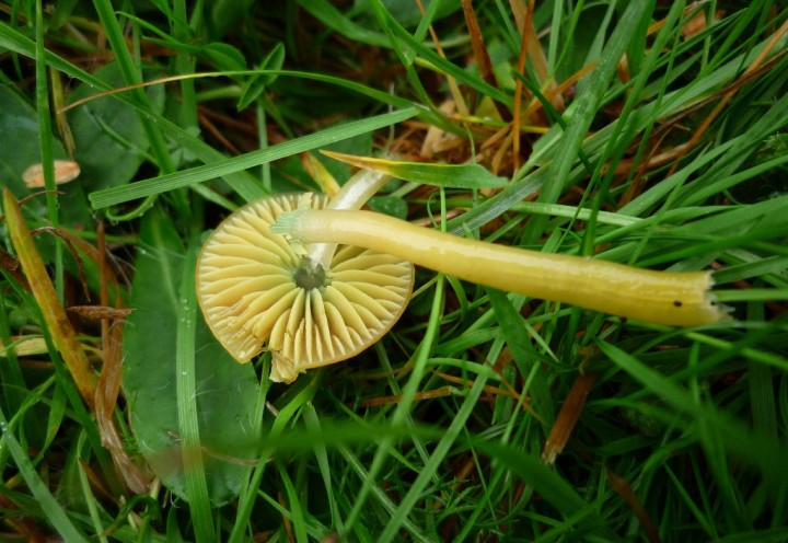 copie de L1150322.JPG