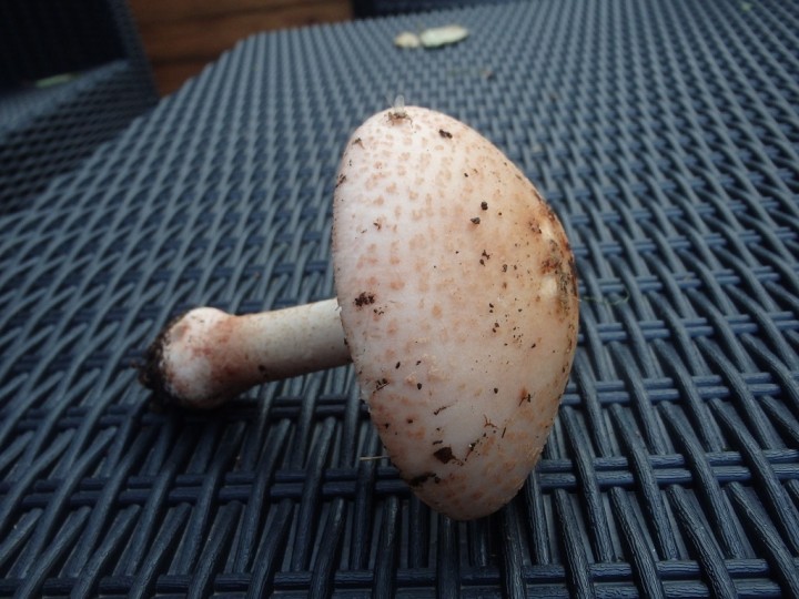 PB030438.JPG