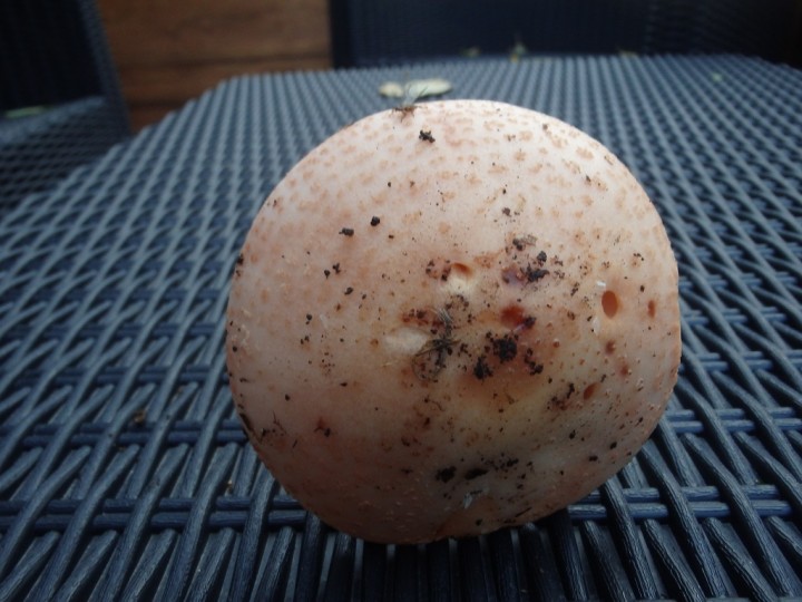 PB030439.JPG