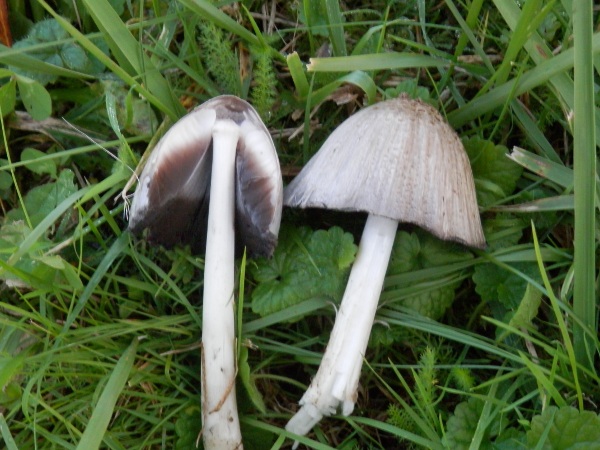 PB011137.JPG