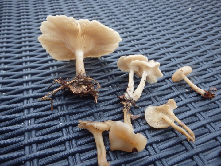 PB120458.JPG