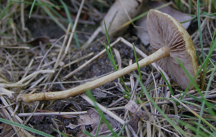 P5110534.JPG