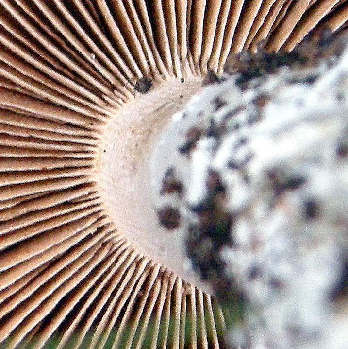 20141231_152940.jpg