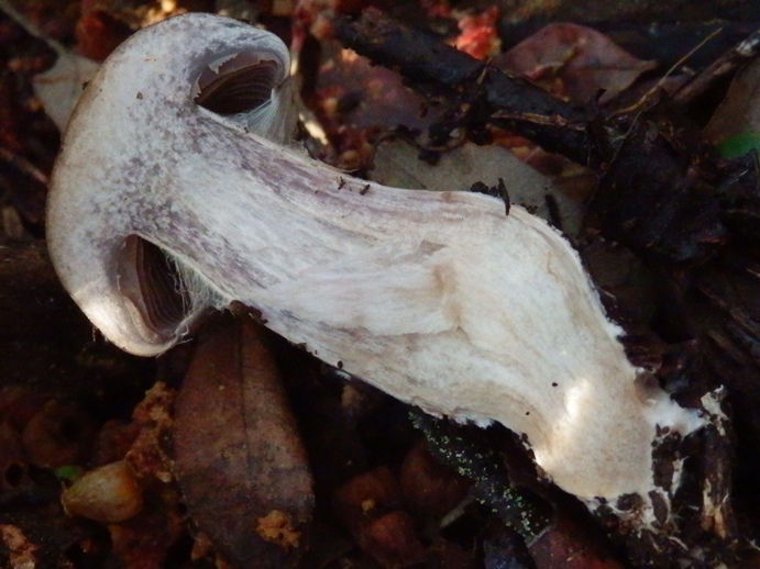 PC310382.JPG