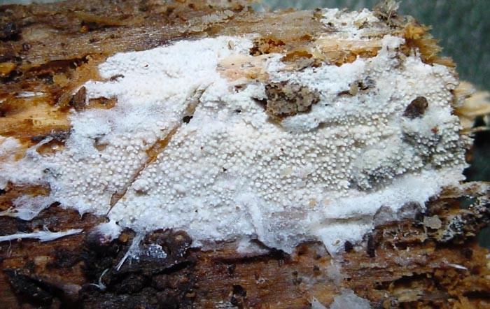 aspect de la surface
