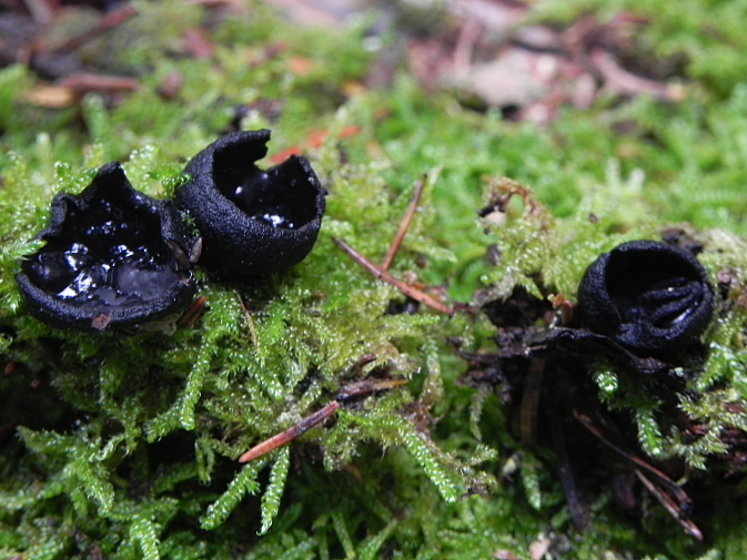 DSCN1551b.JPG