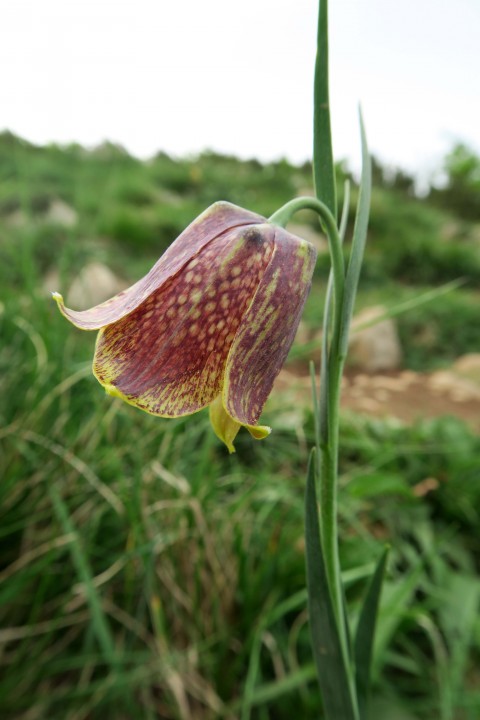 photo3.JPG