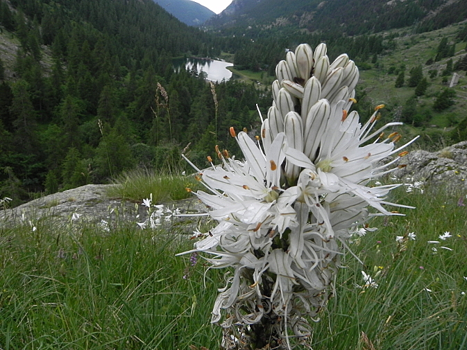DSCN7912b.JPG