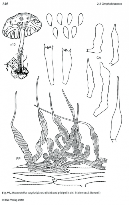Capture d’écran 2015-06-23 à 16.51.36.png