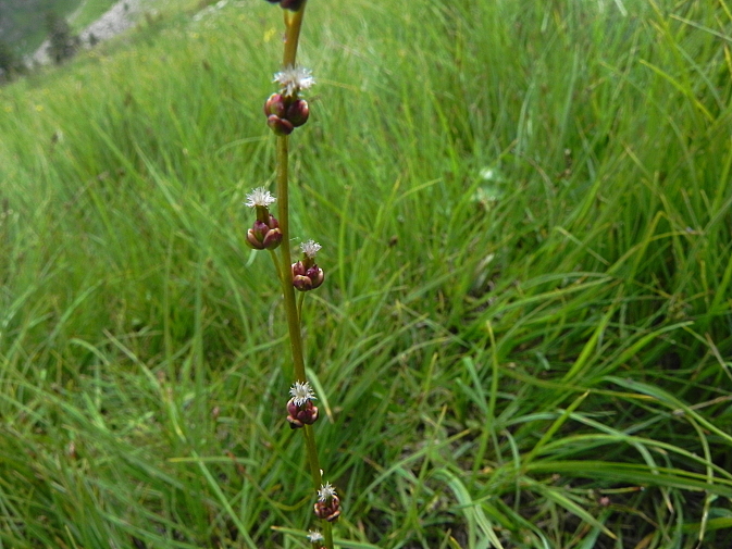 DSCN8256b.JPG