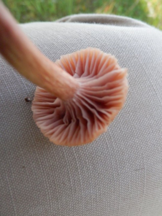 PB011152.JPG