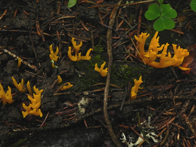 DSCN8834b.JPG