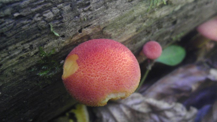 IMAG0301.jpg