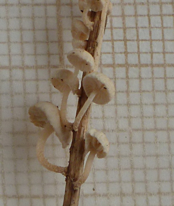 P1350507.JPG