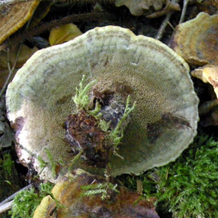 20150929_130838bis.jpg