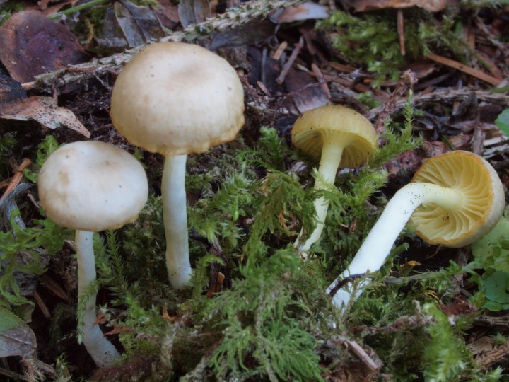 PC300361.JPG