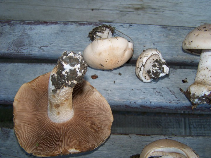 100_7602.JPG