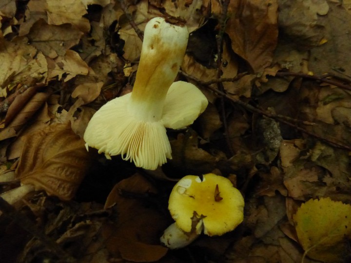 P1100191.JPG