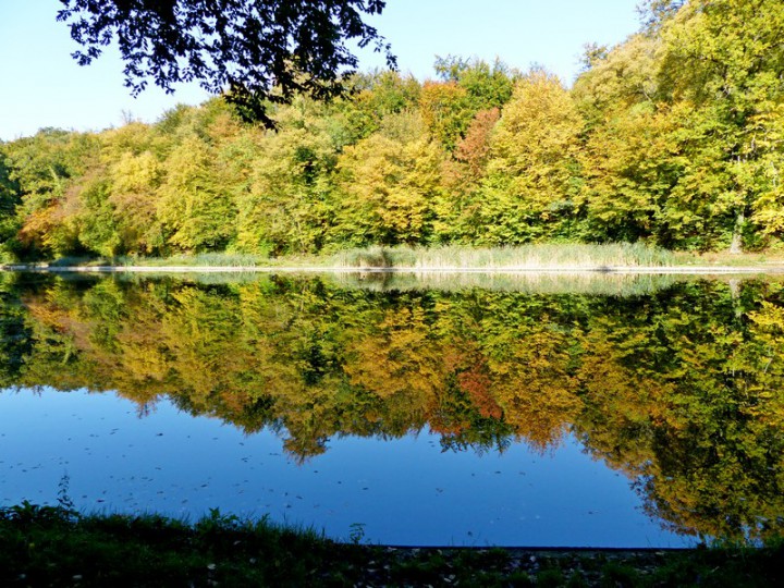 08.10.2015Lumix3.JPG