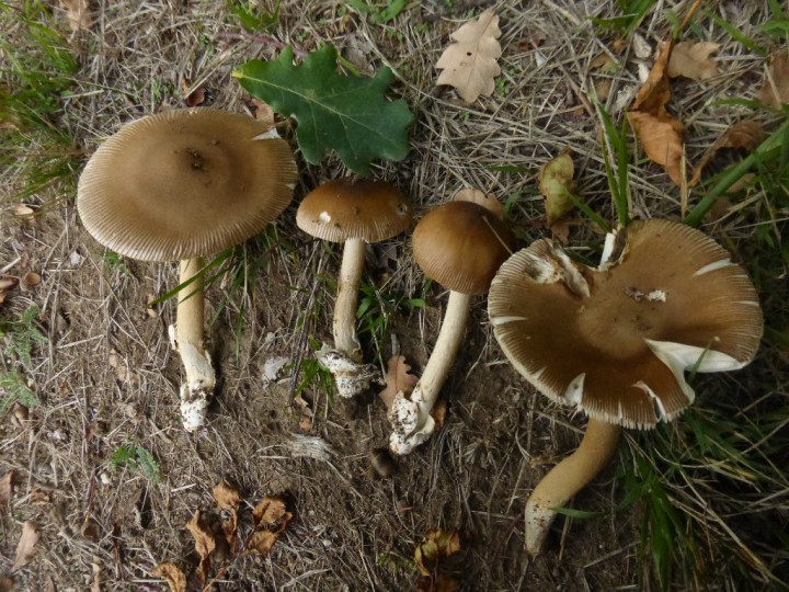 P1100545.JPG