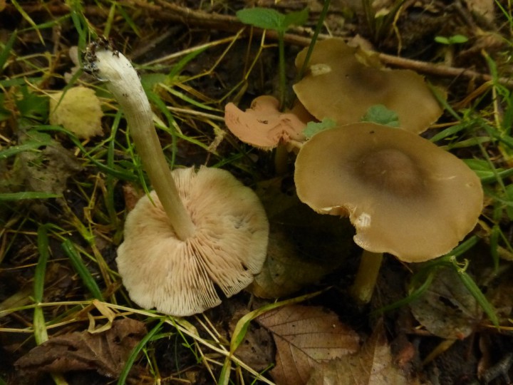 P1100458.JPG