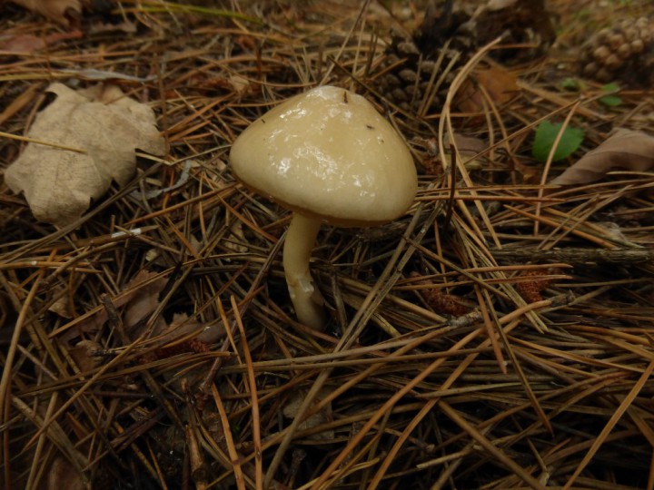 P1100418.JPG